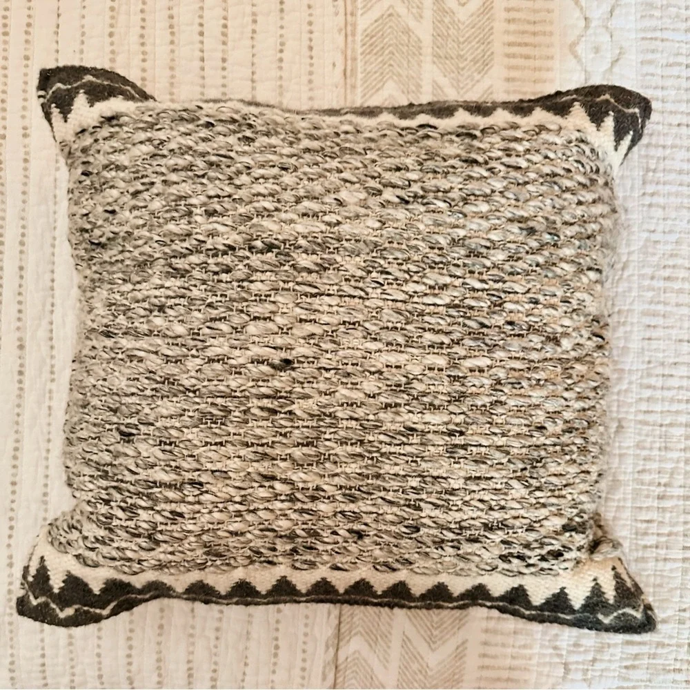 Indoor Outdoor Pillows from Wayfair with Cases and Down Pillow inserts (2 avail)